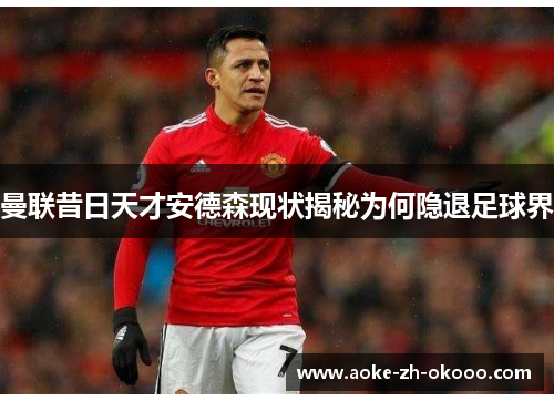 曼联昔日天才安德森现状揭秘为何隐退足球界